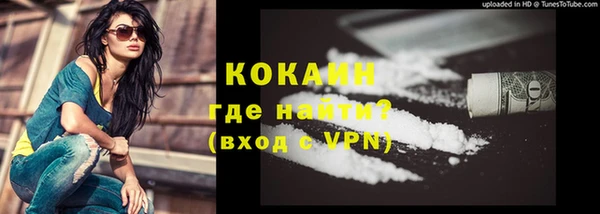 гидра Белокуриха