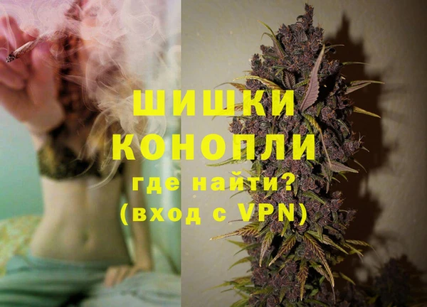 гидра Белокуриха