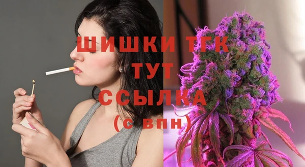 гидра Белокуриха