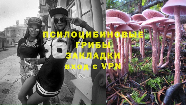 гидра Белокуриха
