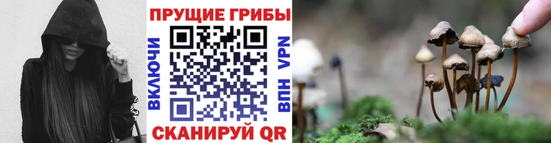Галлюциногенные грибы ЛСД  магазин    Ершов 